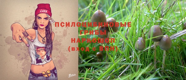 Альфа ПВП Балабаново