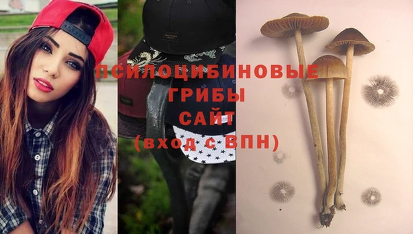 PSILOCYBIN Баксан