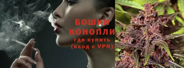 PSILOCYBIN Баксан
